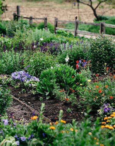 image 137