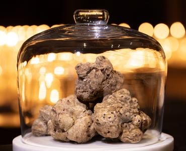 image Truffle Celebration